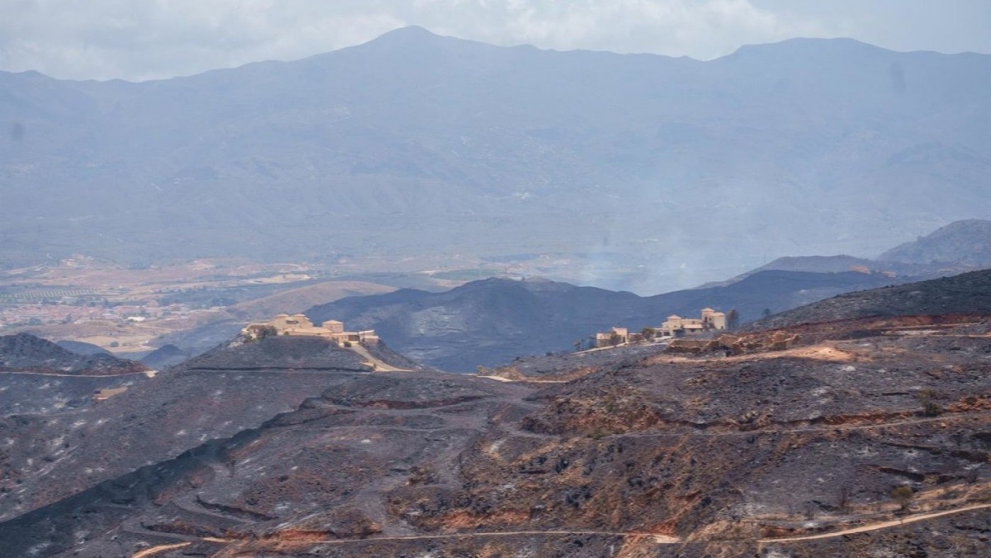 El incendio de Los Gallardos se estanca y da una "perspectiva favorable" para su estabilización