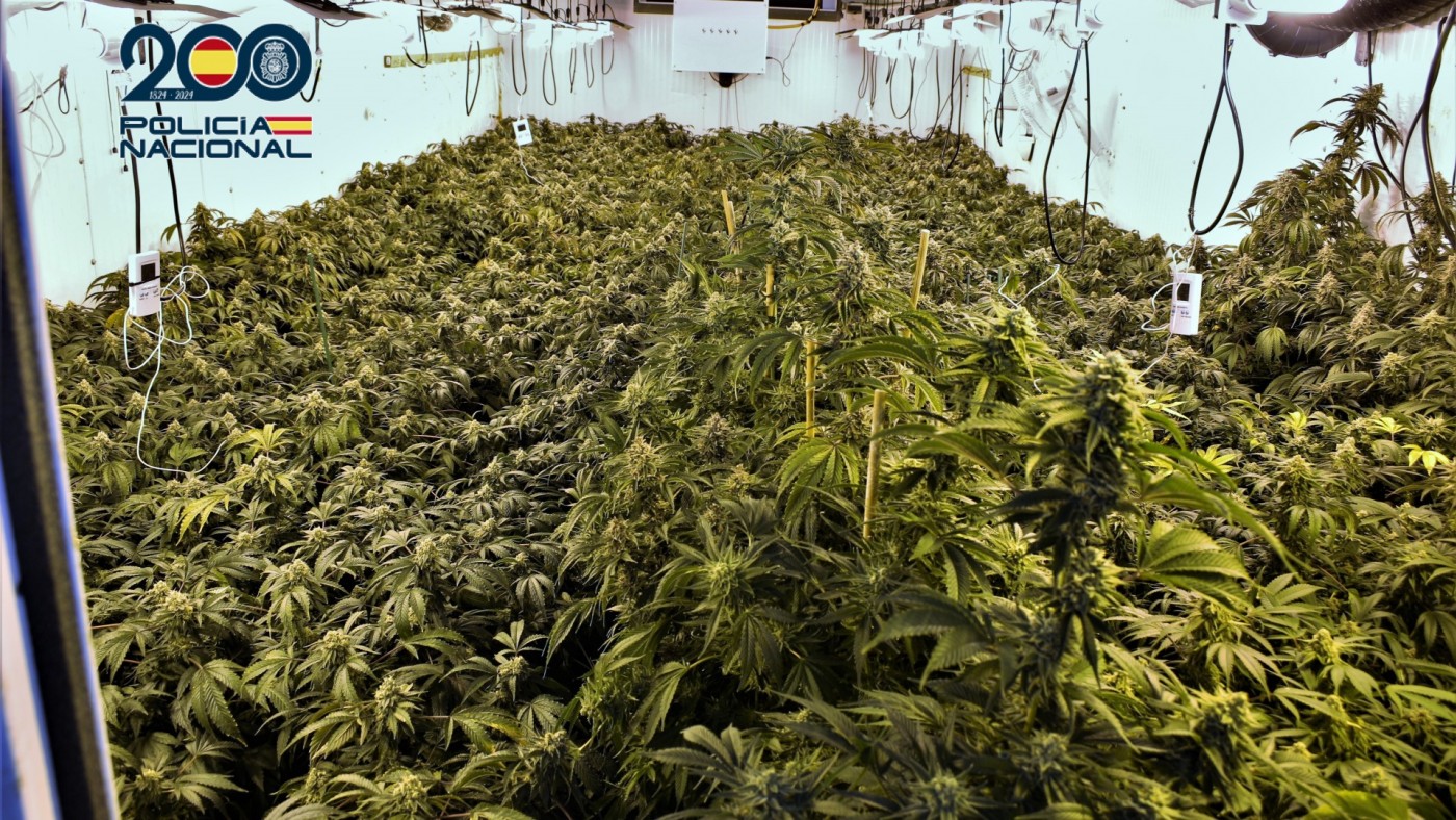 Febrero se saldó con 23 detenidos por producción y venta de drogas en la Región