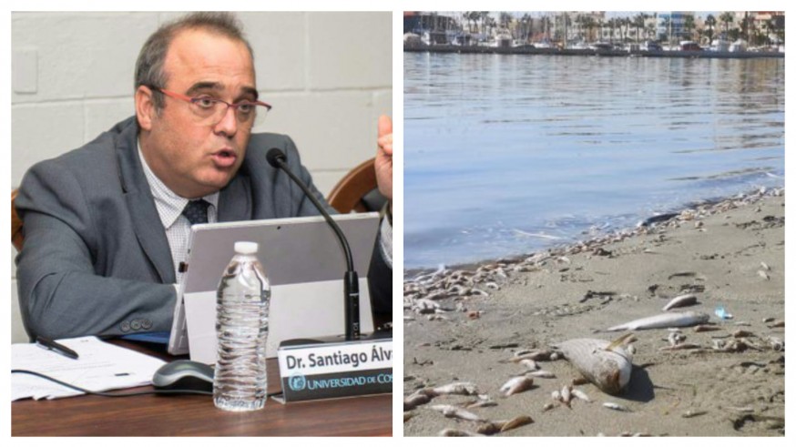 PLAZA PÚBLICA. Santiago Álvarez: "El debate sobre las competencias del Mar Menor debería estar acompañado con informes y estudios"