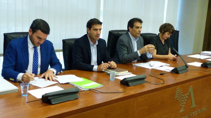 COMISIÓN SOBRE EL MAR MENOR EN LA ASAMBLEA