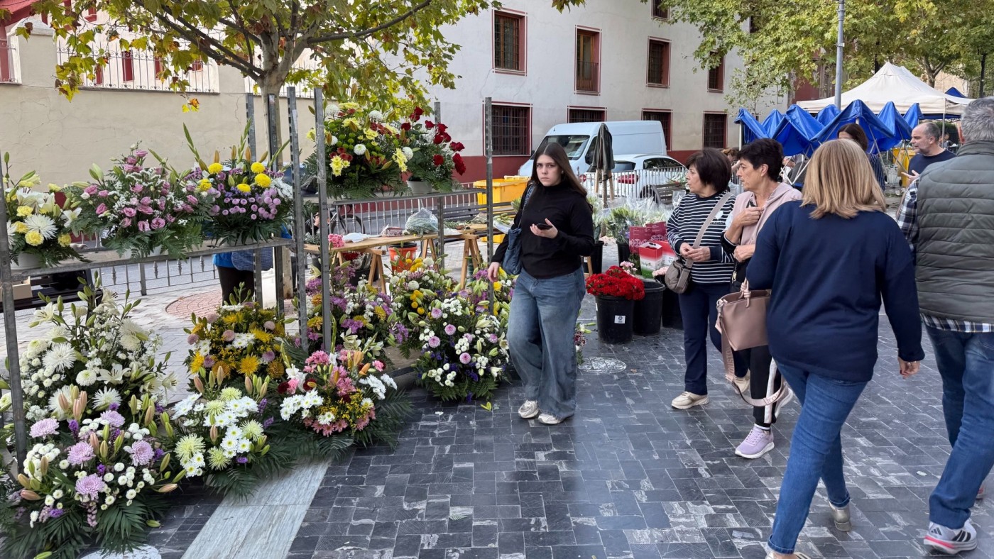 Los crisantemos, los preferidos por los murcianos