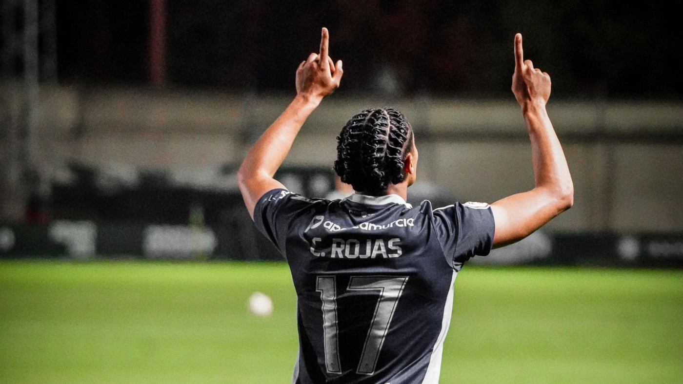 Rojas