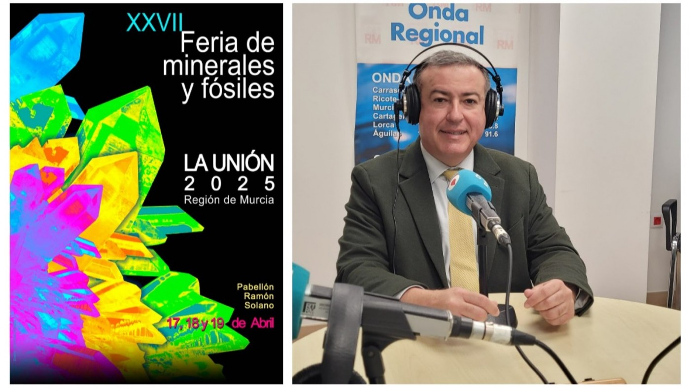 Será noticia. Un mamut a escala real en la XXVII Feria de Minerales y  Fósiles | ORM