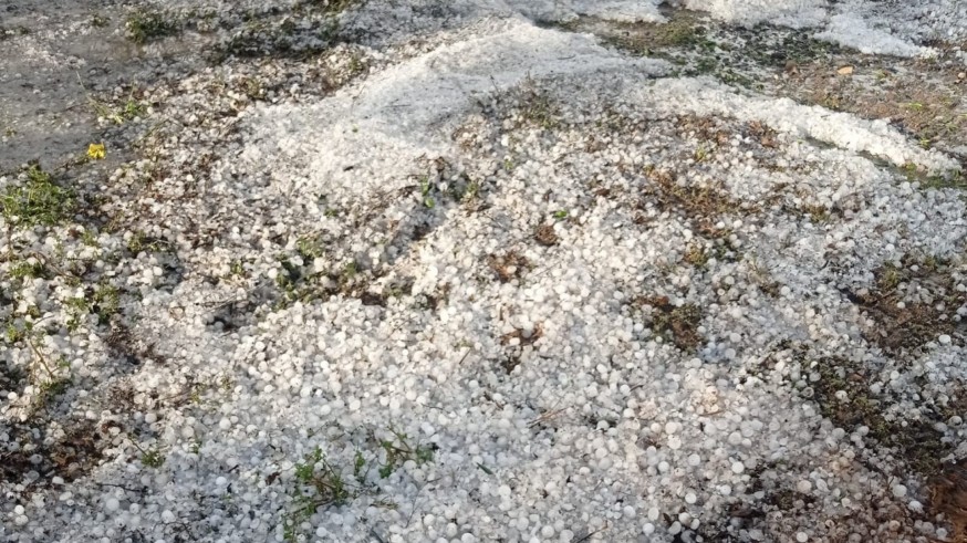 Una granizada provoca daños en campos de Ontur y Tobarra
