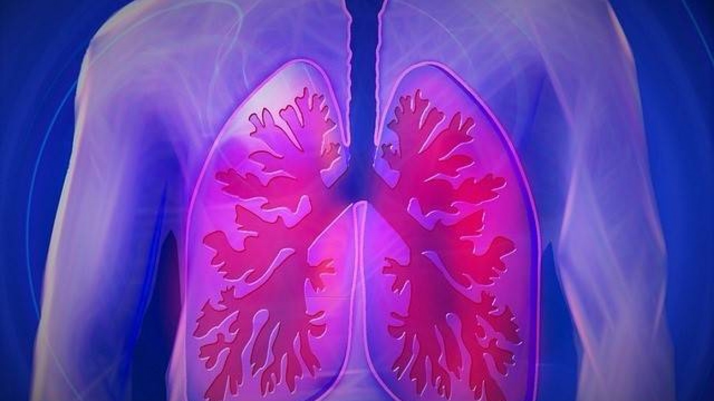 imagen de unos pulmones