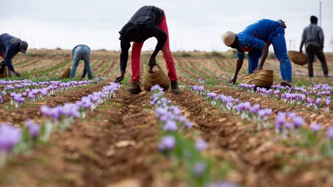 "Preocupa la incidencia del cambio climático sobre las producciones agrícolas"