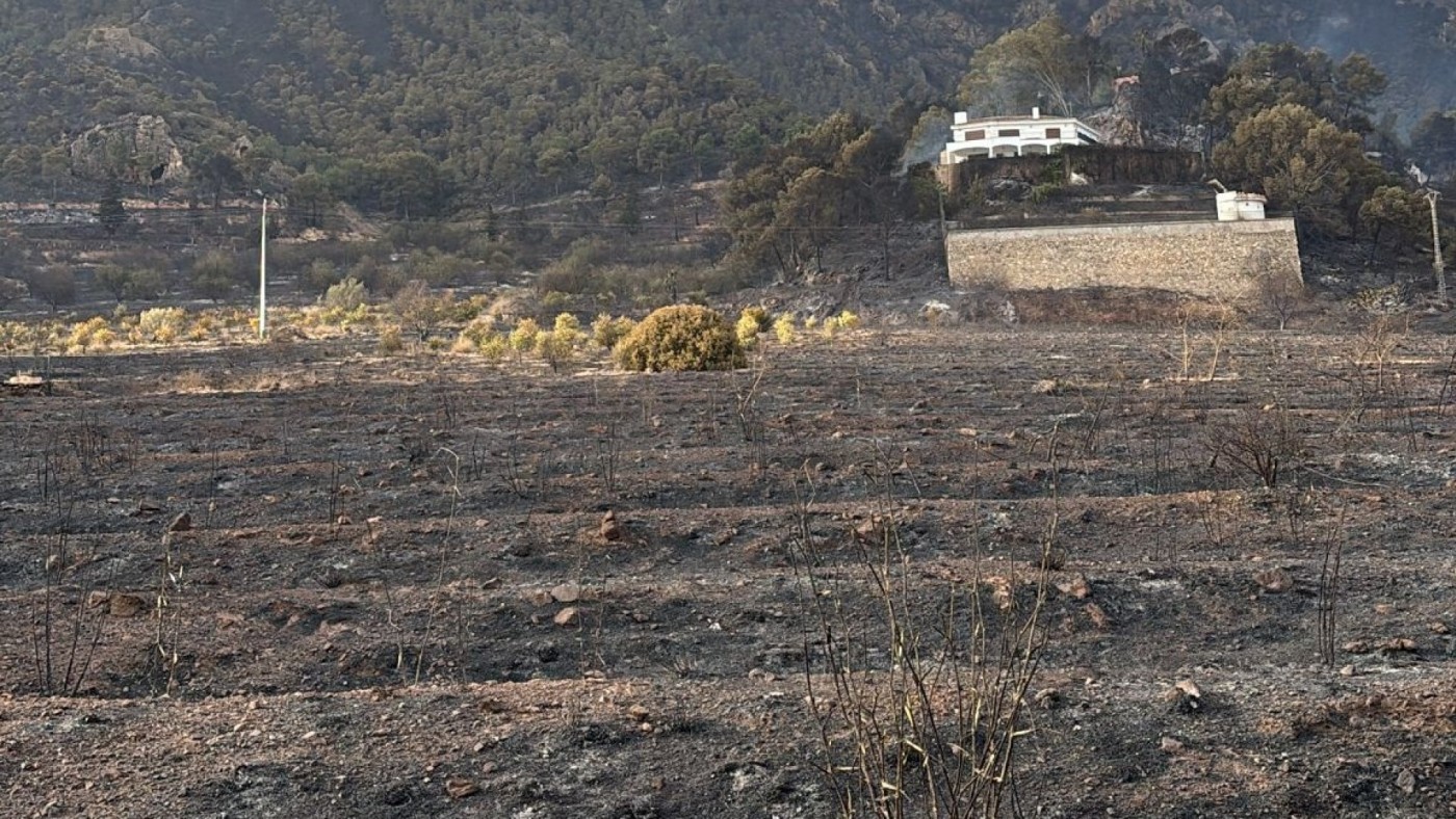Ecologistas en Acción pide facilitar la recuperación natural tras el incendio