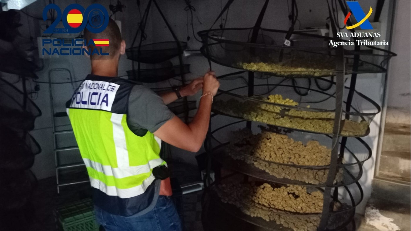 Seis detenidos y 13 registros en una operación contra el cultivo y tráfico de marihuana en Cartagena