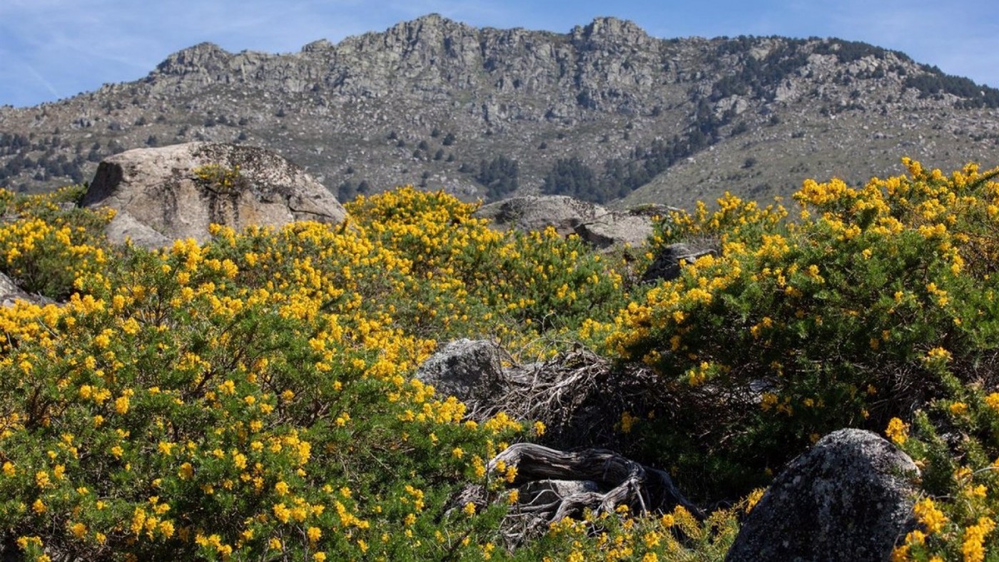 "La ley de restauración de la naturaleza es una oportunidad para buscar opciones sostenibles de producción agrícola"