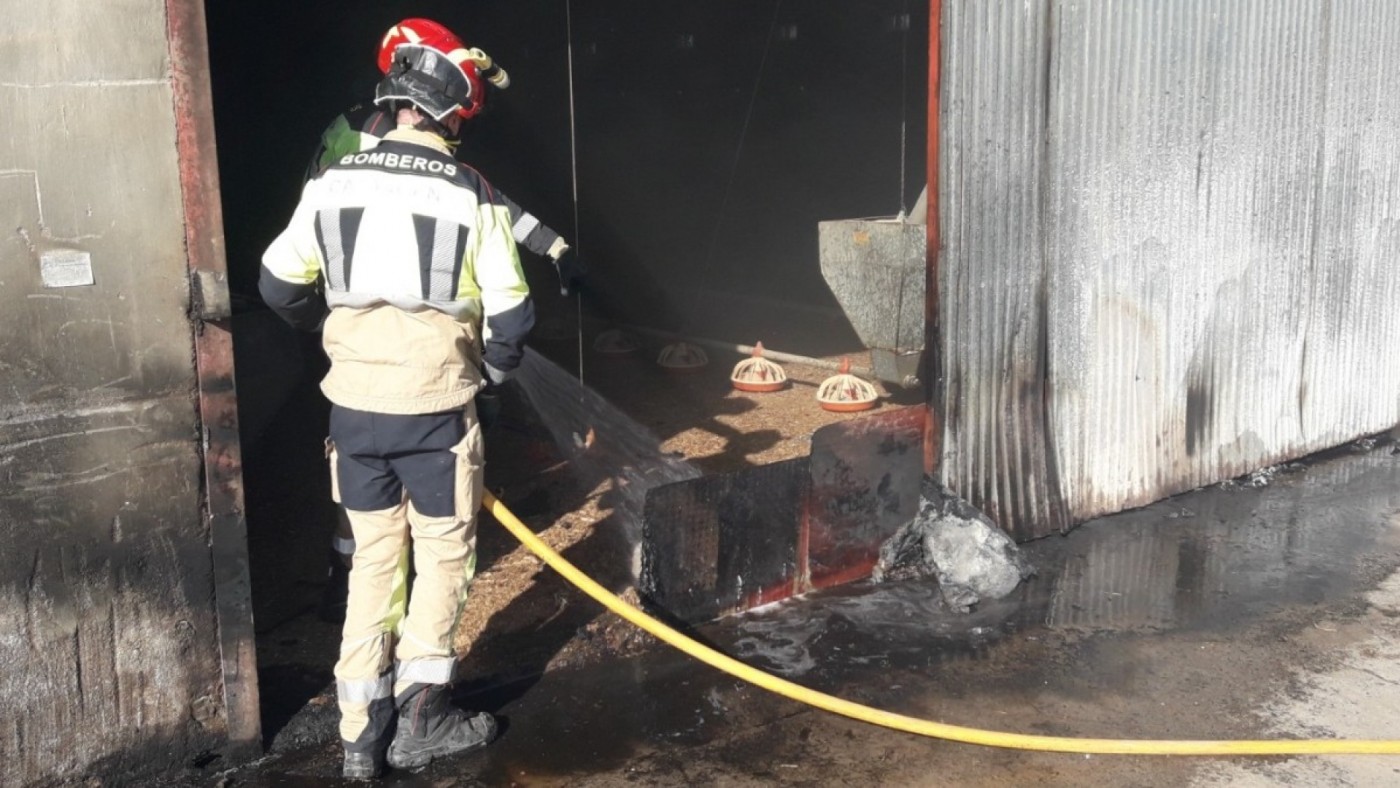 Bomberos salvan una nave con crías de pollo de un incendio declarado en una explotación avícola de La Aljorra