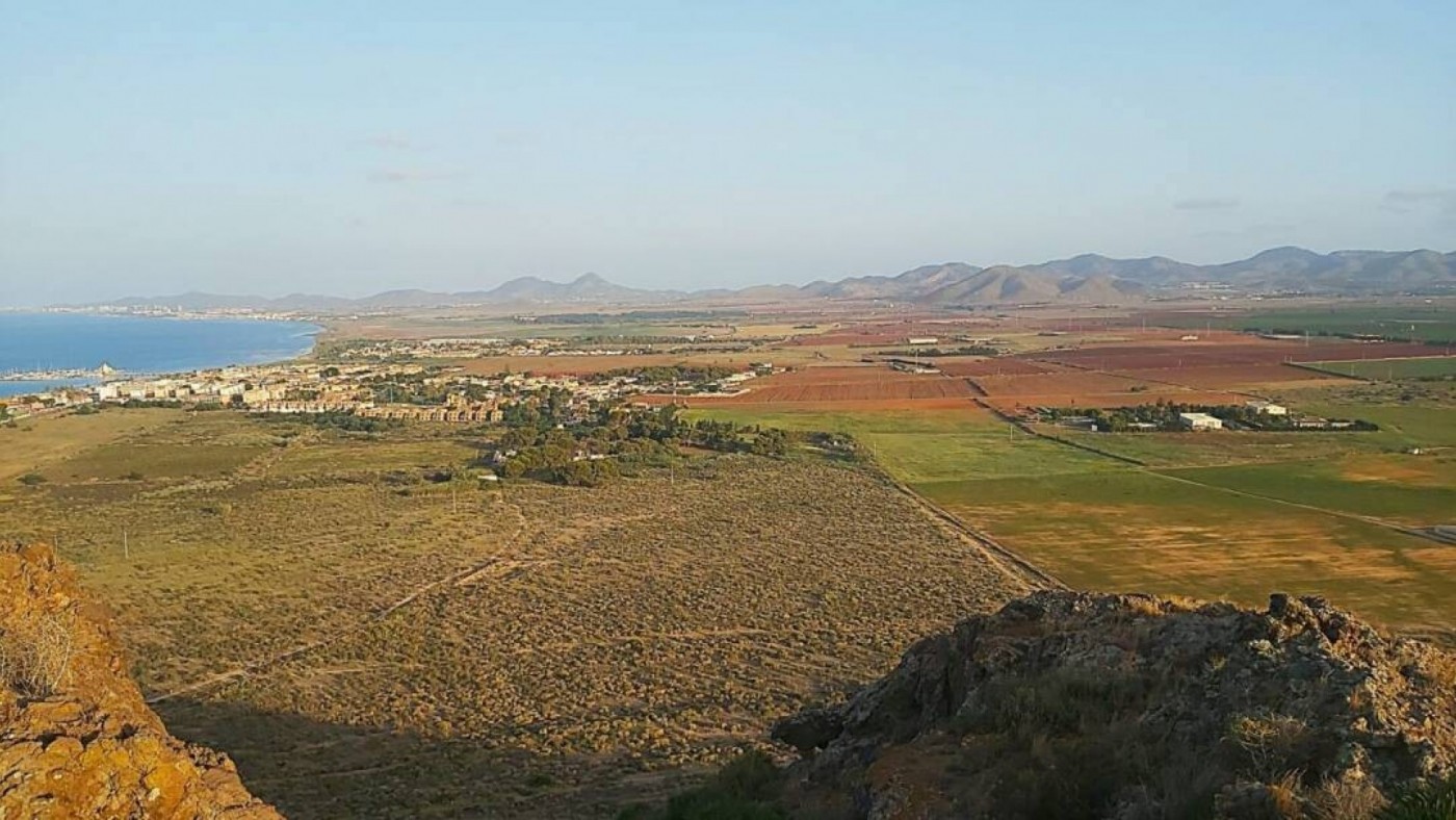 Piden medidas urgentes por los altos niveles de metales pesados en el Mar Menor