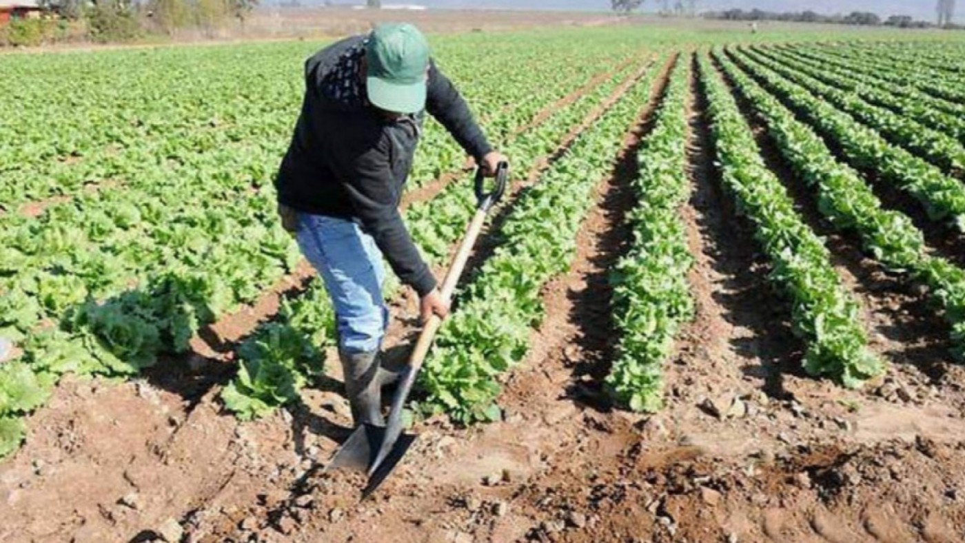 La Región, primera del país por su peso en empleo agrario con más de 70.000 trabajadores en 2021