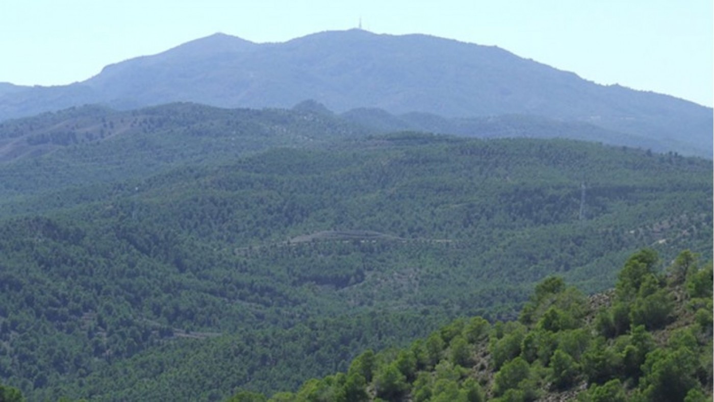 Denuncian la desprotección de El Valle y lo vinculan a intereses urbanísticos