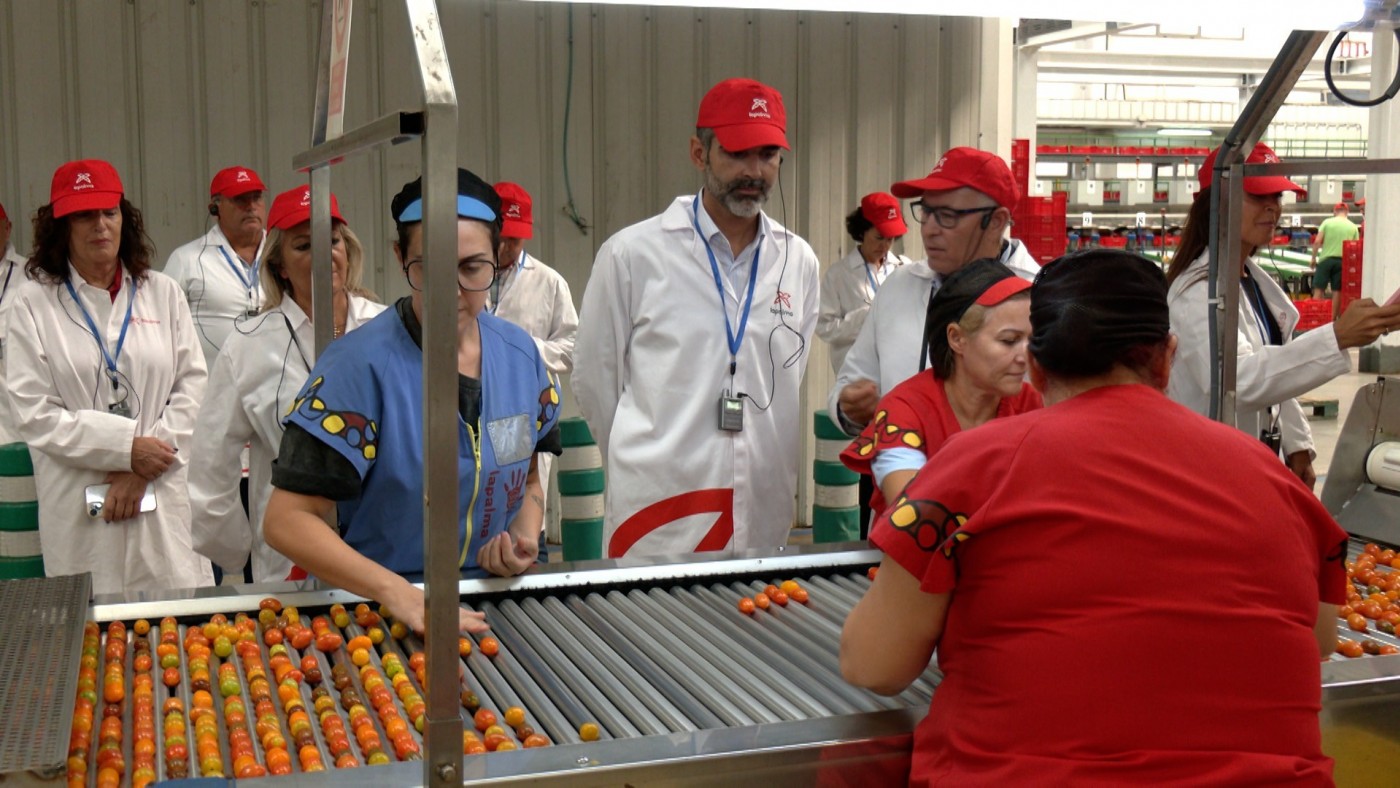 Lajarín (UGT): "En los sectores precarizados, cuando se cogen una baja es por una situación límite"