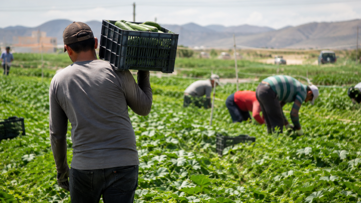 La regularización de inmigrantes impulsa el empleo extranjero en la Región de Murcia en el mes de julio.