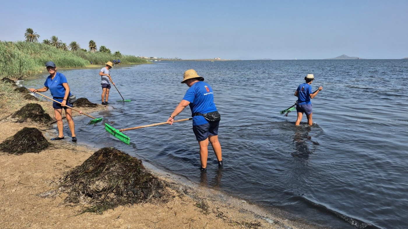 Las brigadas retiran más de 6.600 toneladas de biomasa del Mar Menor este año