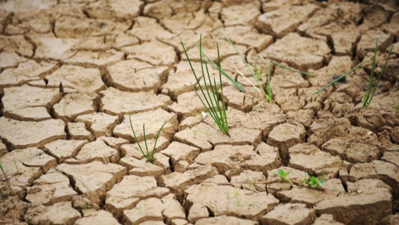 Los plazos en la lucha contra el cambio climático se agotan