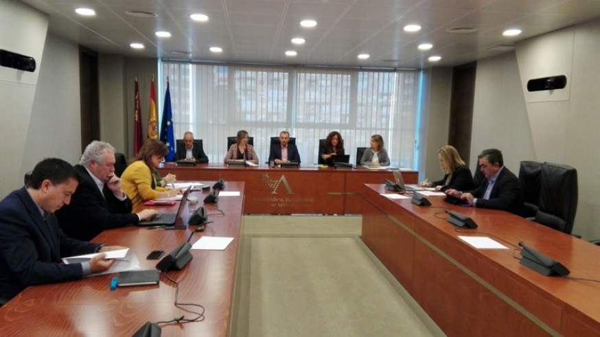 Comisión Especial de Pobreza, Asamblea Regional
