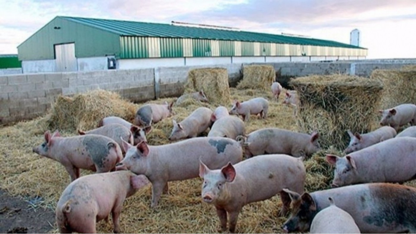 Más de once millones de ayudas para la ganadería sostenible en la Cuenca del Mar Menor