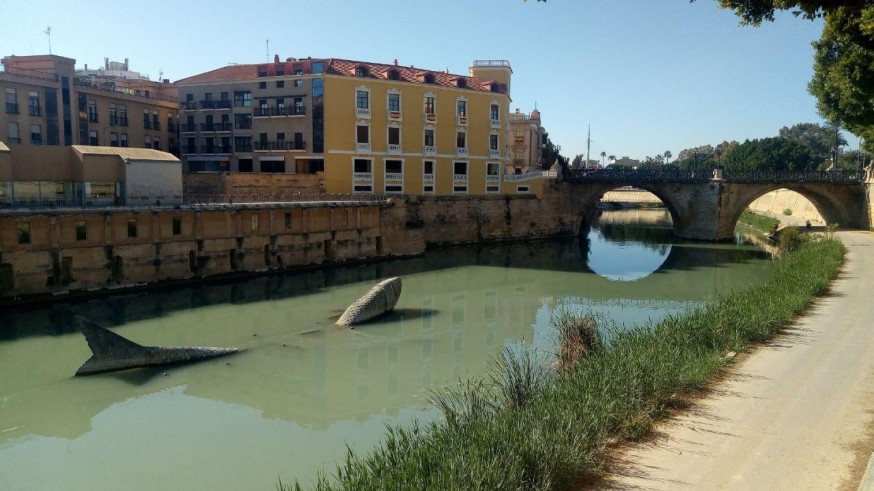 El río Segura, gravemente contaminado por el uso de un herbicida