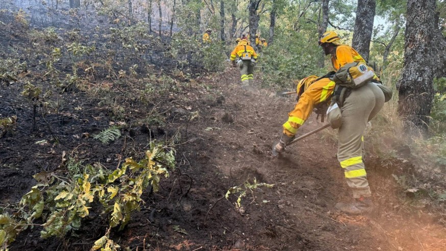 Los bomberos forestales de la Región preparan movilizaciones