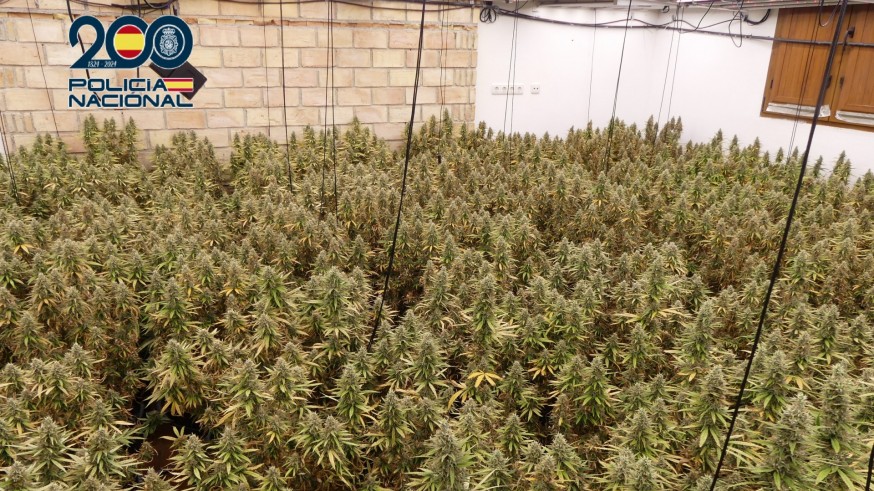 Detenidos dos hombres en Molina de Segura por una plantación de marihuana y un coche robado en Letonia