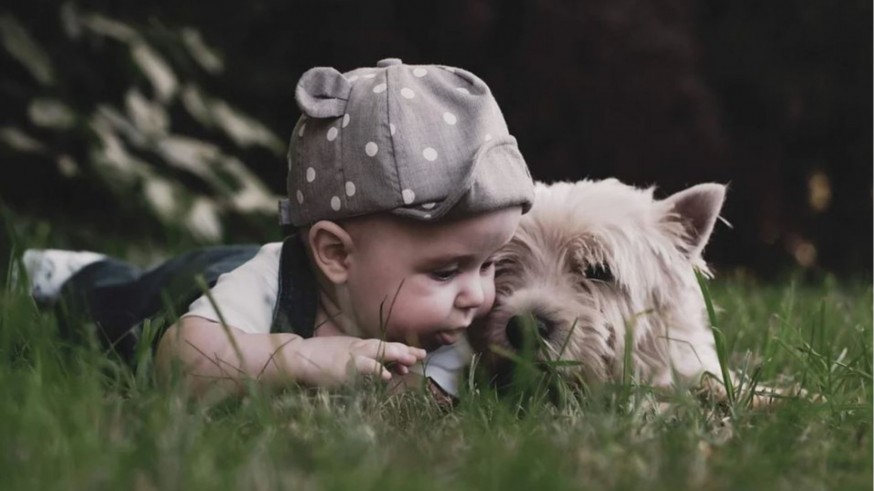 Primerizos y valientes. La llegada de una mascota a la familia