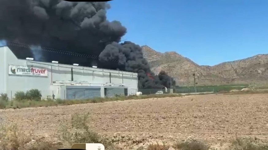 Incendio en un semillero en Balsicas (Torre Pacheco)