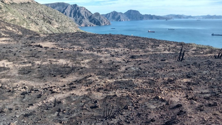 Controlado, pero no extinguido