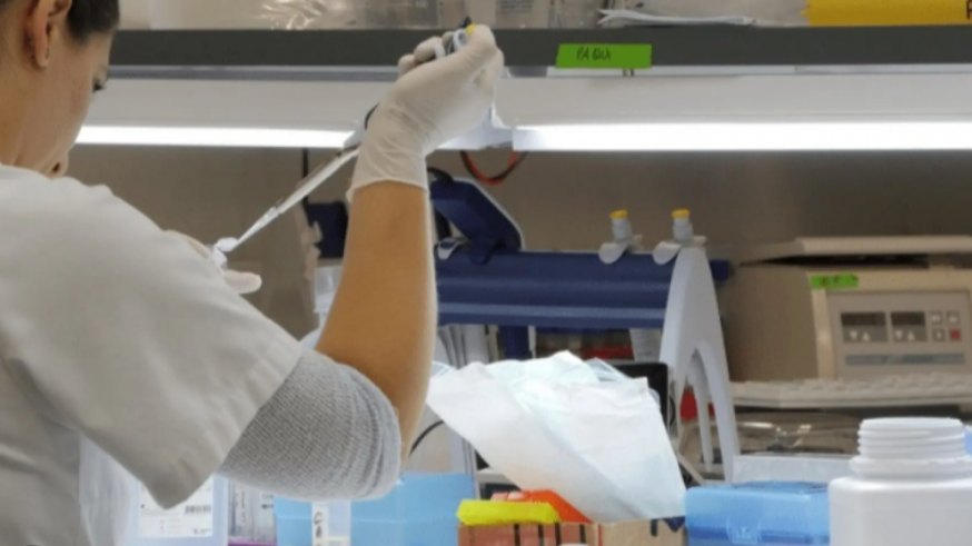 El Instituto Murciano de Investigación Biosanitaria trabajará a nivel nacional con la producción de tratamientos genómicos, células y tejidos