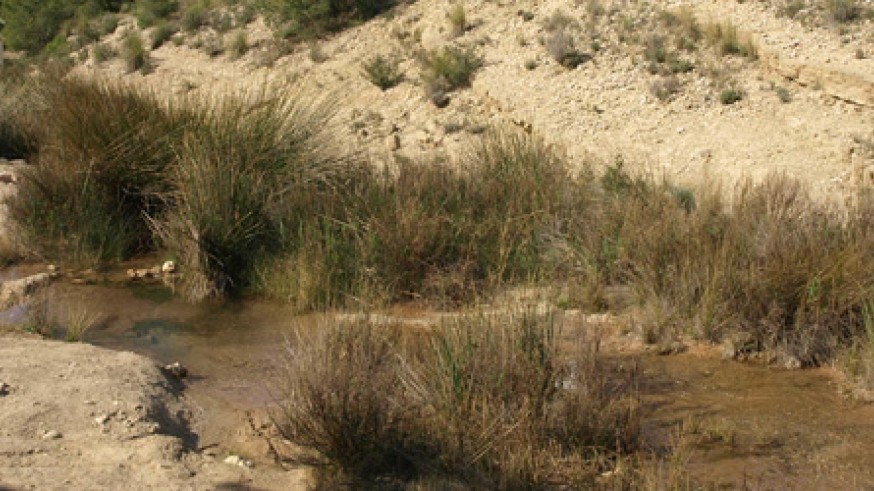 El río Chícamo en una imagen de la Universidad de Murcia