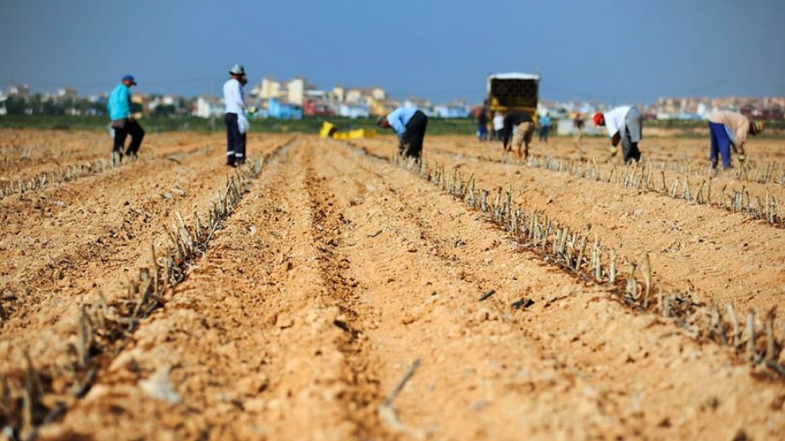 Manuel León Madrid: "El trasvase y la inmigración trajeron riqueza agrícola" 