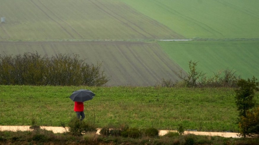 Las lluvias revitalizan el campo murciano tras semanas de sequía