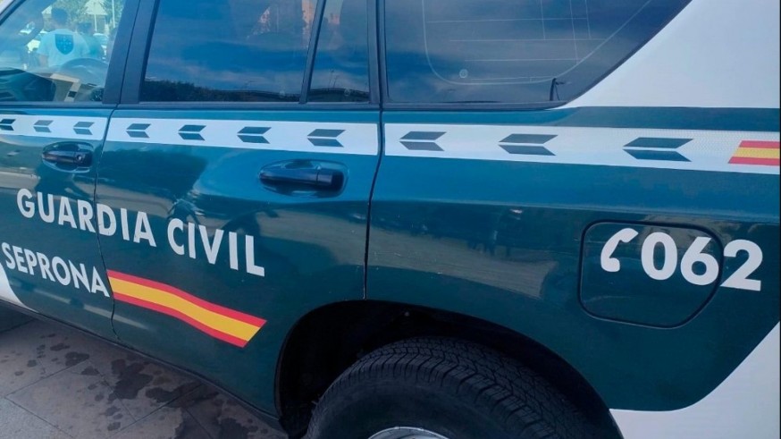 La Guardia Civil investiga a un vecino por la muerte de un gato en Mazarrón 