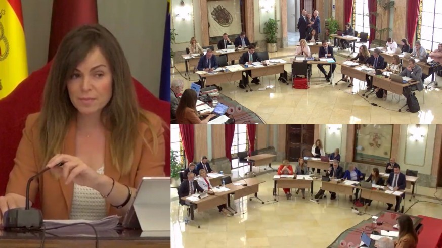 Las quejas por las ratas en Murcia capitalizan el Pleno