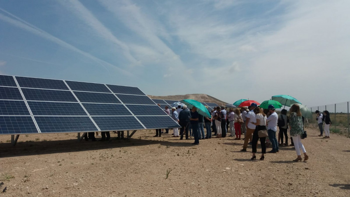 Imagen de una planta solar en Yecla. 