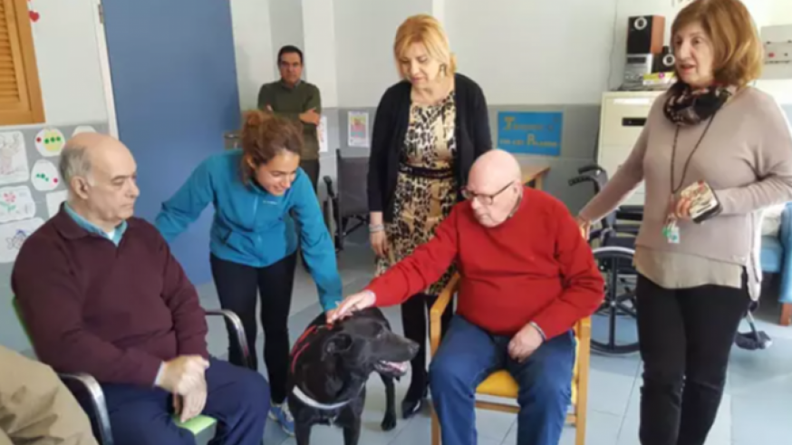 El CES advierte que la situación de las personas mayores en la Región de Murcia "dista mucho de ser boyante"