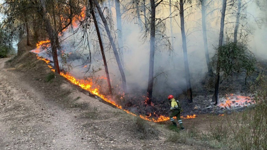 Sofocan un conato de incendio forestal en El Valle