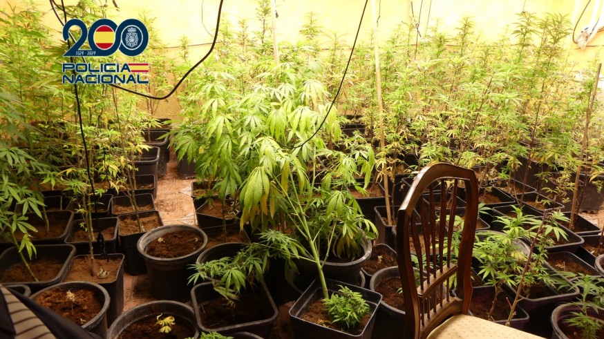 Ocho detenidos por dos ‘vuelcos’ de drogas con tiroteos en Molina de Segura