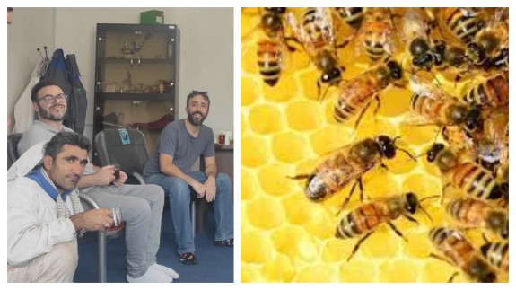 PLAZA PÚBLICA. El apicultor Roque Ortiz viaja a Irán con sus abejorros