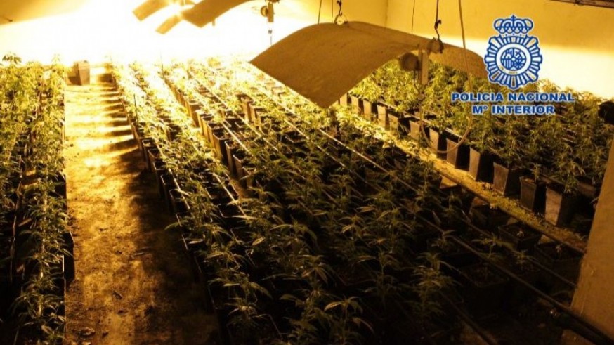 Tres detenidos en unos almacenes de jamones que camuflaban una plantación de marihuana en Murcia