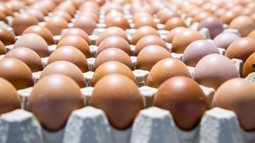 ¿Por qué ha subido tanto el precio de los huevos?