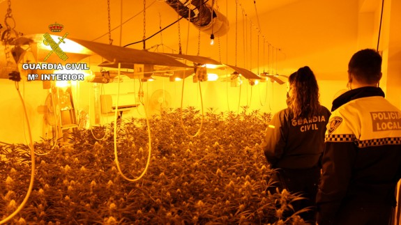 La Guardia Civil detiene a dos personas que gestionaban un invernadero ilegal de 500 plantas de marihuana en Puerto Lumbreras