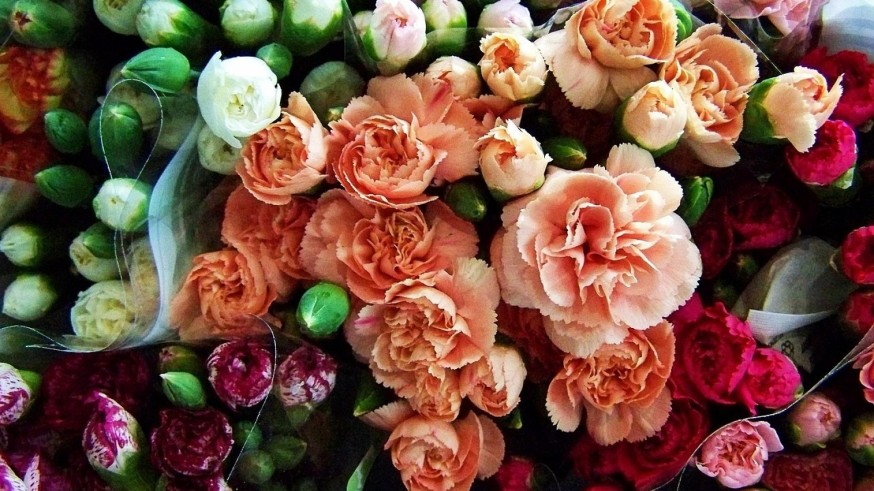 Hablamos del proyecto Soy Florista con Juan Maravillas Ortega, Ángela Sánchez y Enrique Soler