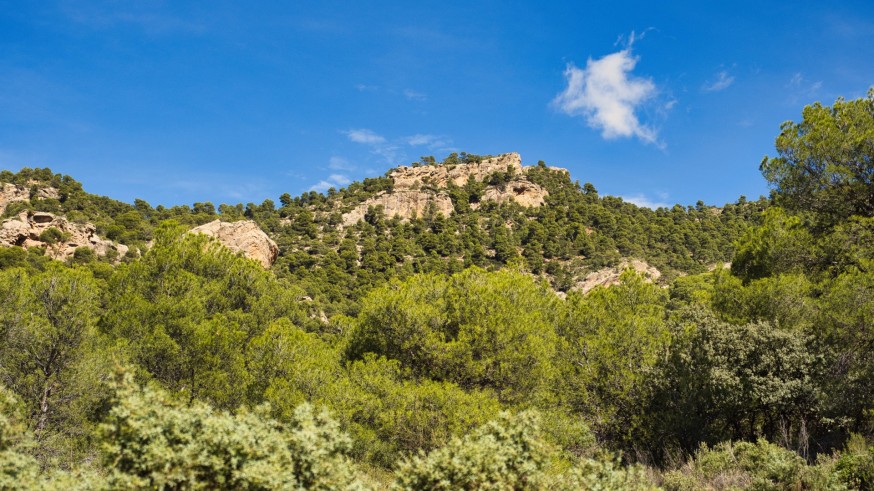 Conociendo Sierra Espuña, con Javier Ramírez. Vuelta al Cerro de Las Palomas