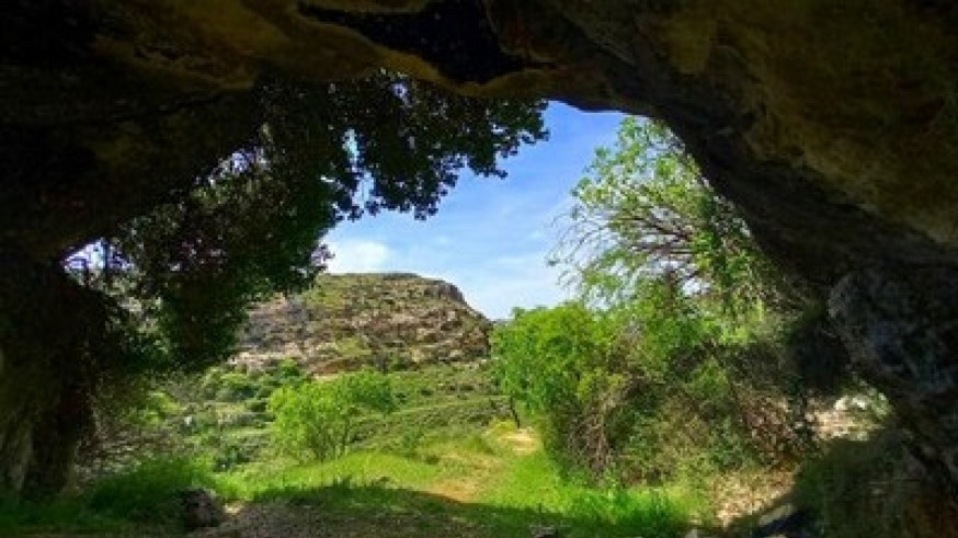 Hallan restos de un oso extinguido en la Cueva Negra de Caravaca, el yacimiento con el fuego más antiguo de Europa