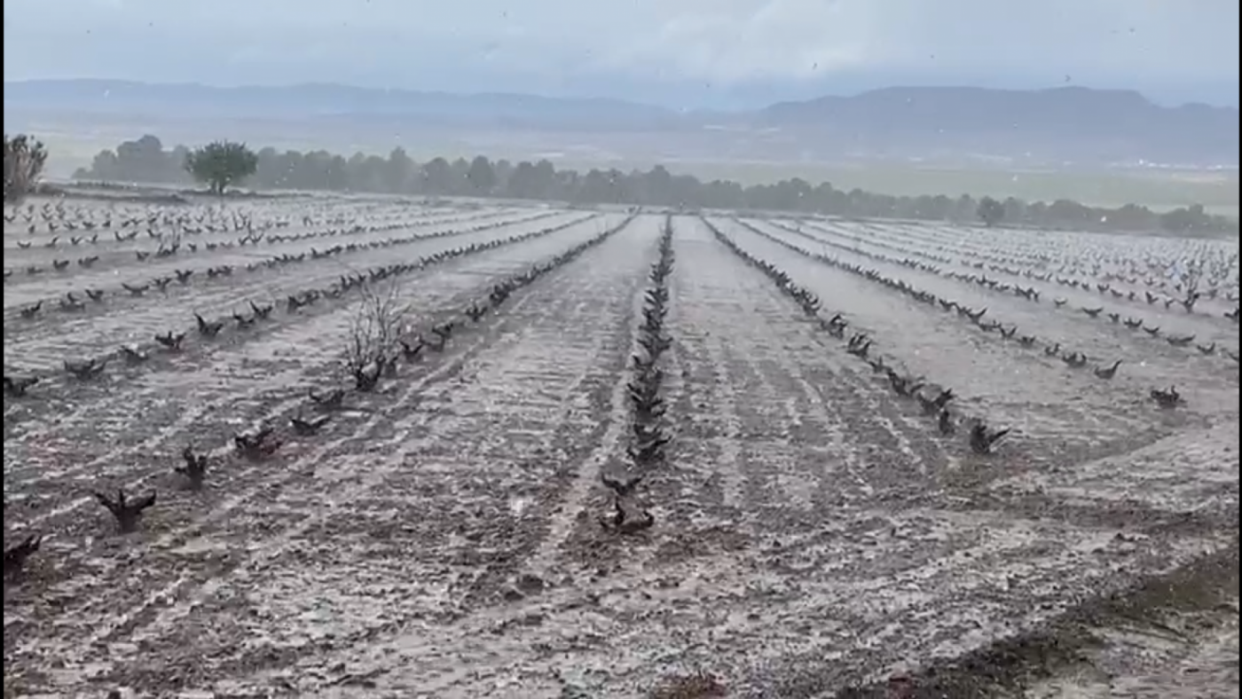 La lluvia de granizo afecta a la zona de Jumilla