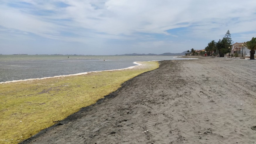 Conesa envía a Cs iniciativas mejorar decreto protección integral mar Menor