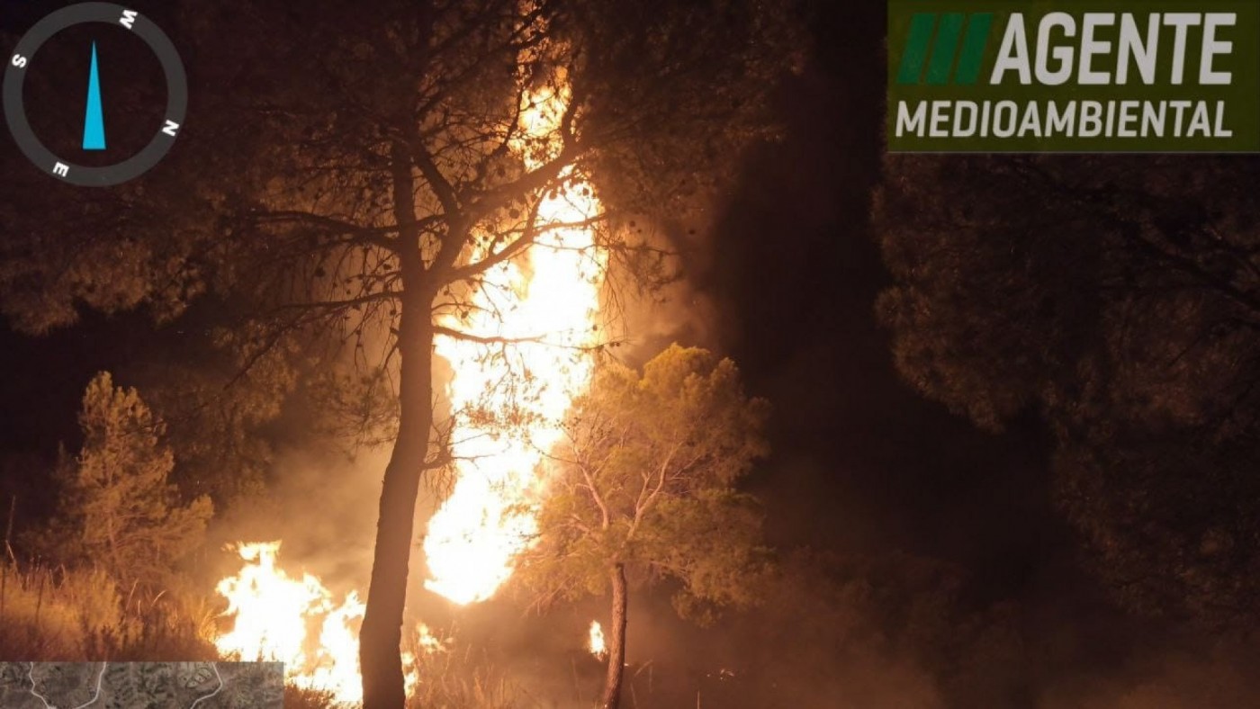 Arden 4.000 m2 de matorral en un conato de incendio en Abanilla