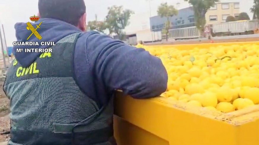 Tres investigados por vender falsos limones ecológicos